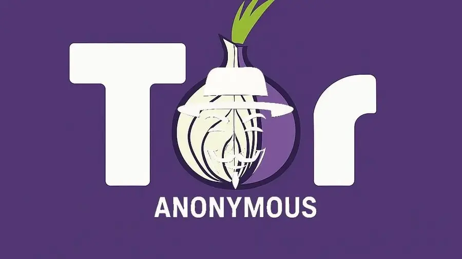 Torzon mirror network and Tor anonymity visualization